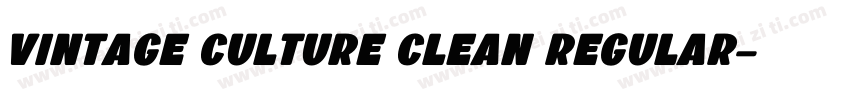 Vintage Culture Clean Regular字体转换